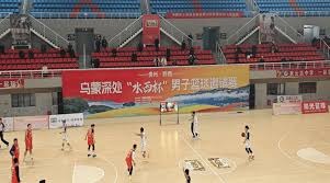 混团世界杯：国乒轮休孙颖莎，8-0横扫韩国，动漫及王炸姐弟建功